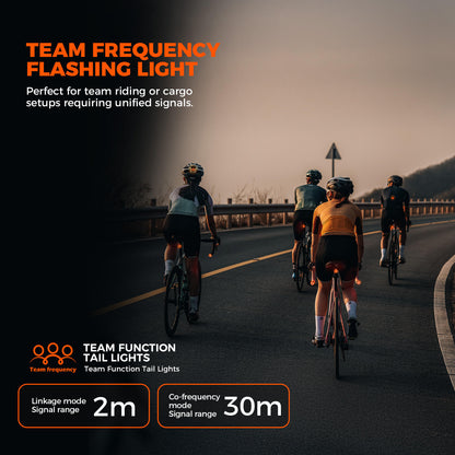 ROCKBROS R0 Smart Bike Rear & Handlebar End Light - Waterproof