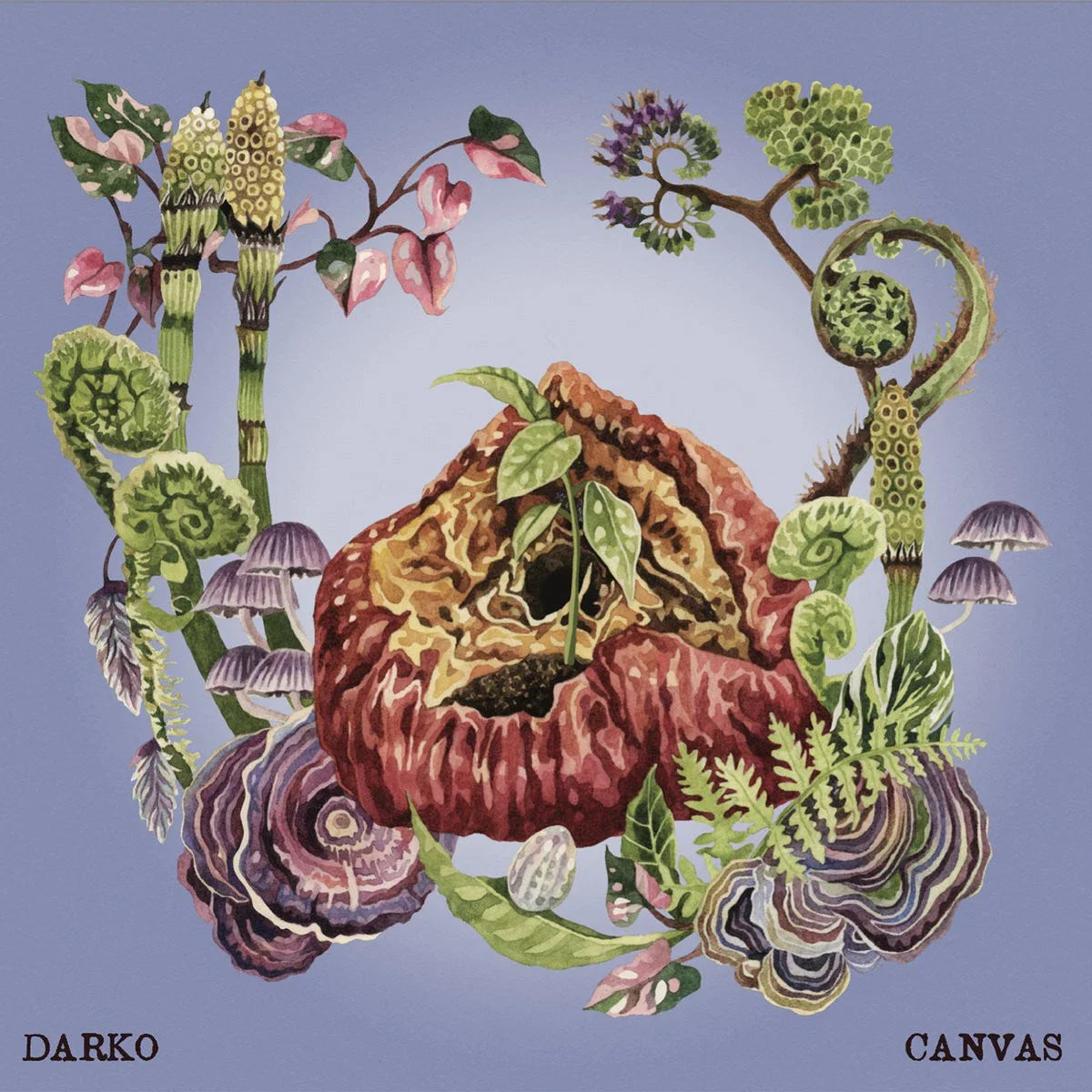 Darko - Canvas (Uk) [LP] Vinyl Record