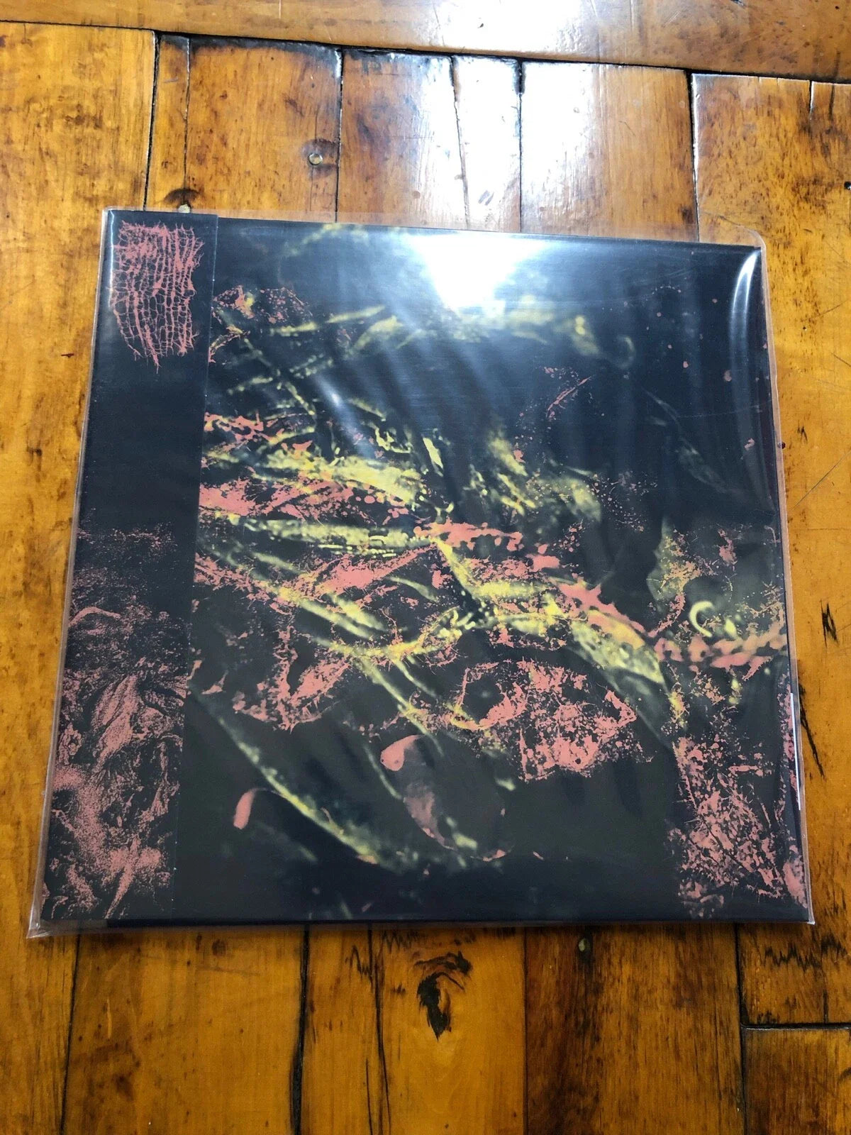 Hissing - Permanent Destitution [LP] Vinyl Record