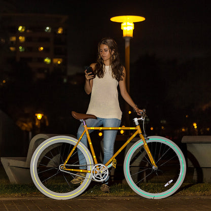 SHIOK - STARS N STRIPES Frame Reflectives