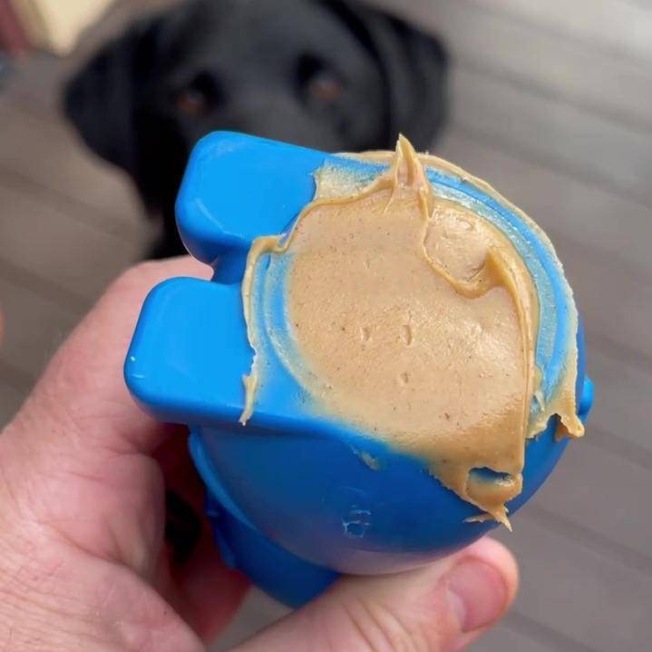 Bunny eChew Durable Nylon Chew and Enrichment Toy