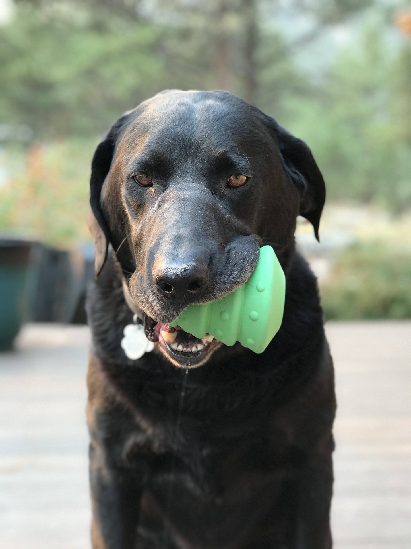 Christmas Tree eDispenser Durable Rubber Chew Toy & Treat Dispenser