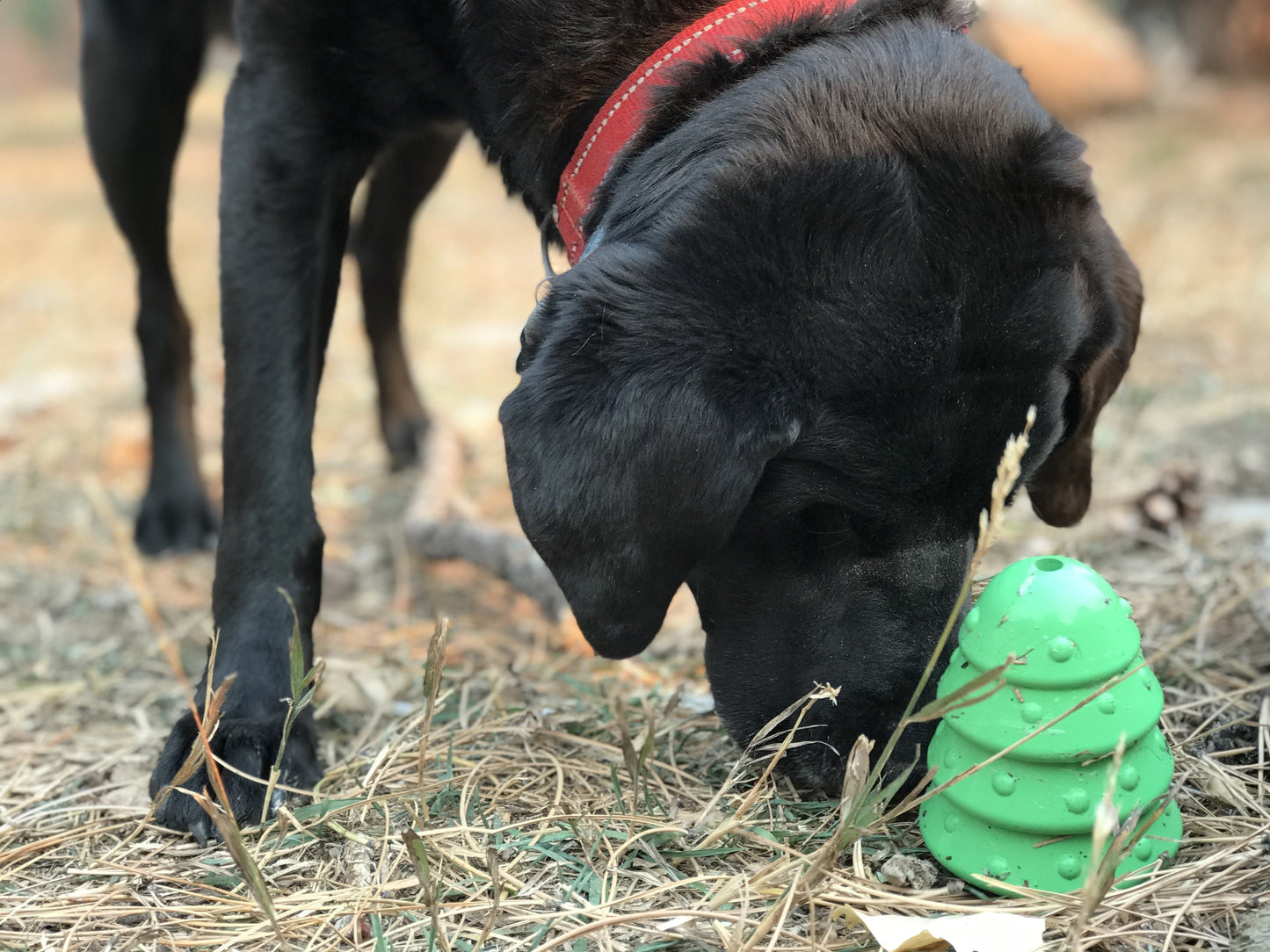 Christmas Tree eDispenser Durable Rubber Chew Toy & Treat Dispenser