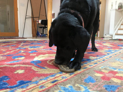 Peanut Nylon Dog Chew Toy | Ultra-Durable for Aggressive Chewers | SodaPup