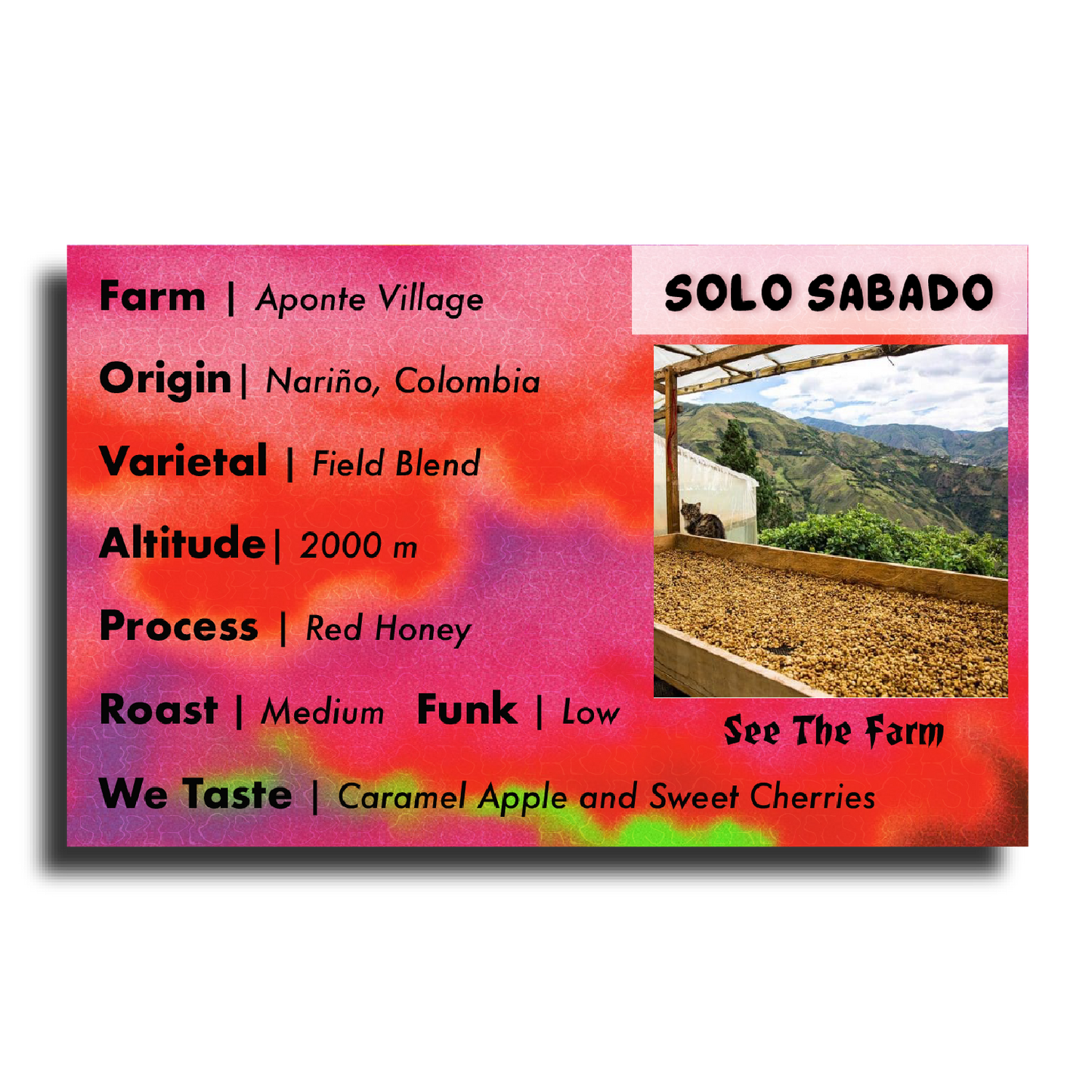 Solo Sabado