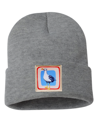 Seagull