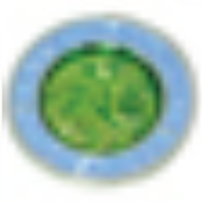 Beach Saint St. Christopher Necklace Medal - Small/Nickel Size