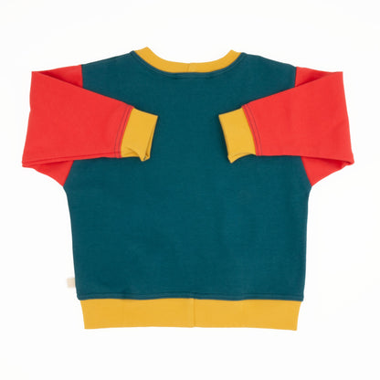 Toddler Colorblock Sweatshirt