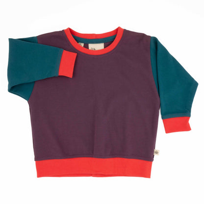 Toddler Colorblock Sweatshirt