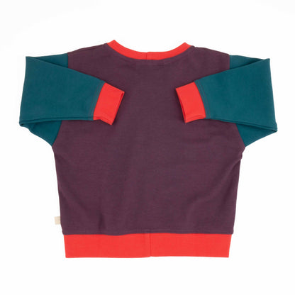 Toddler Colorblock Sweatshirt
