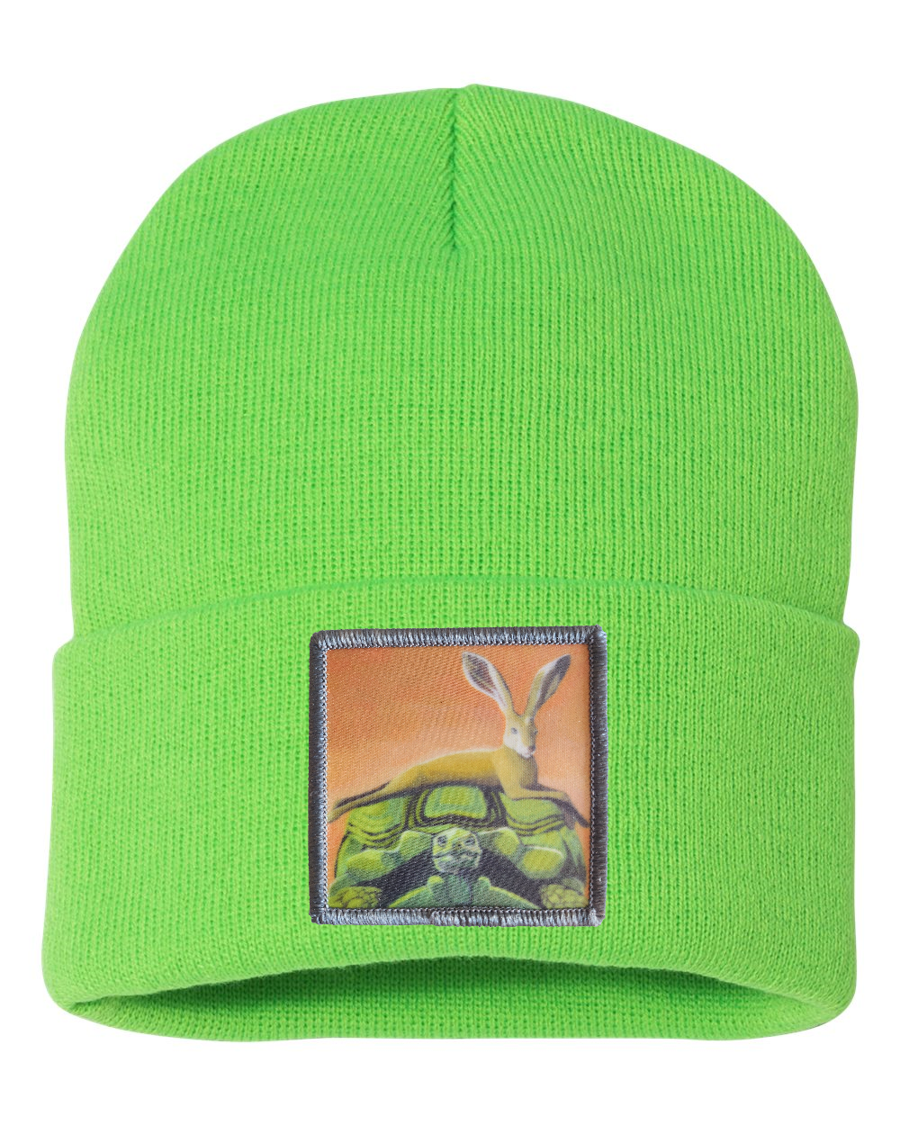 The Tortoise By a Hare Beanie