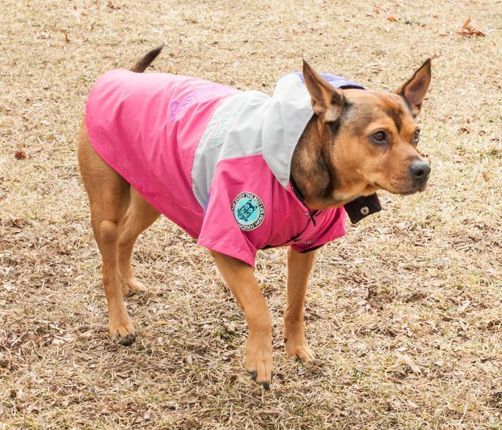 Touchdog ® 'Mount Pinnacle' Insulated Performance Retro Ski Dog Jacket