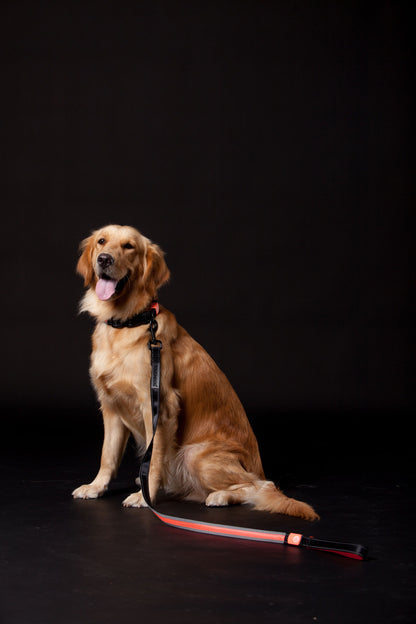 Touchdog ®'Lumiglow' 2-in-1 USB Charging LED Lighting Water-Resistant Dog Leash and Collar