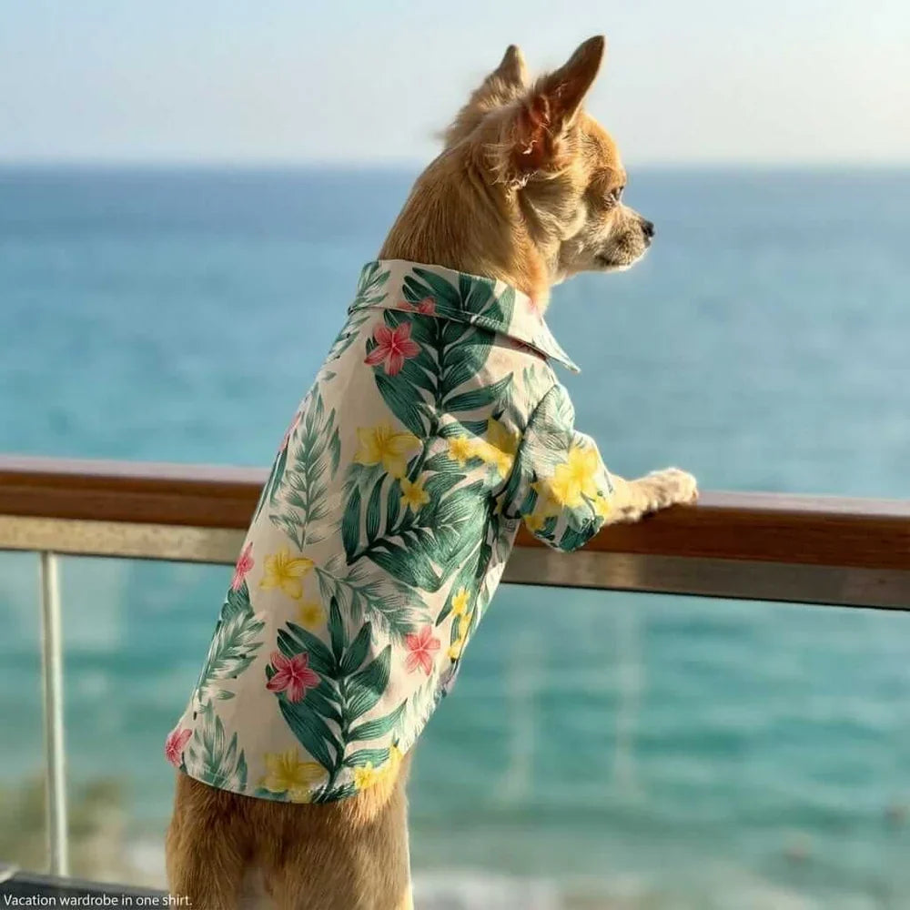 Tropical Print Dog Beach Shirt