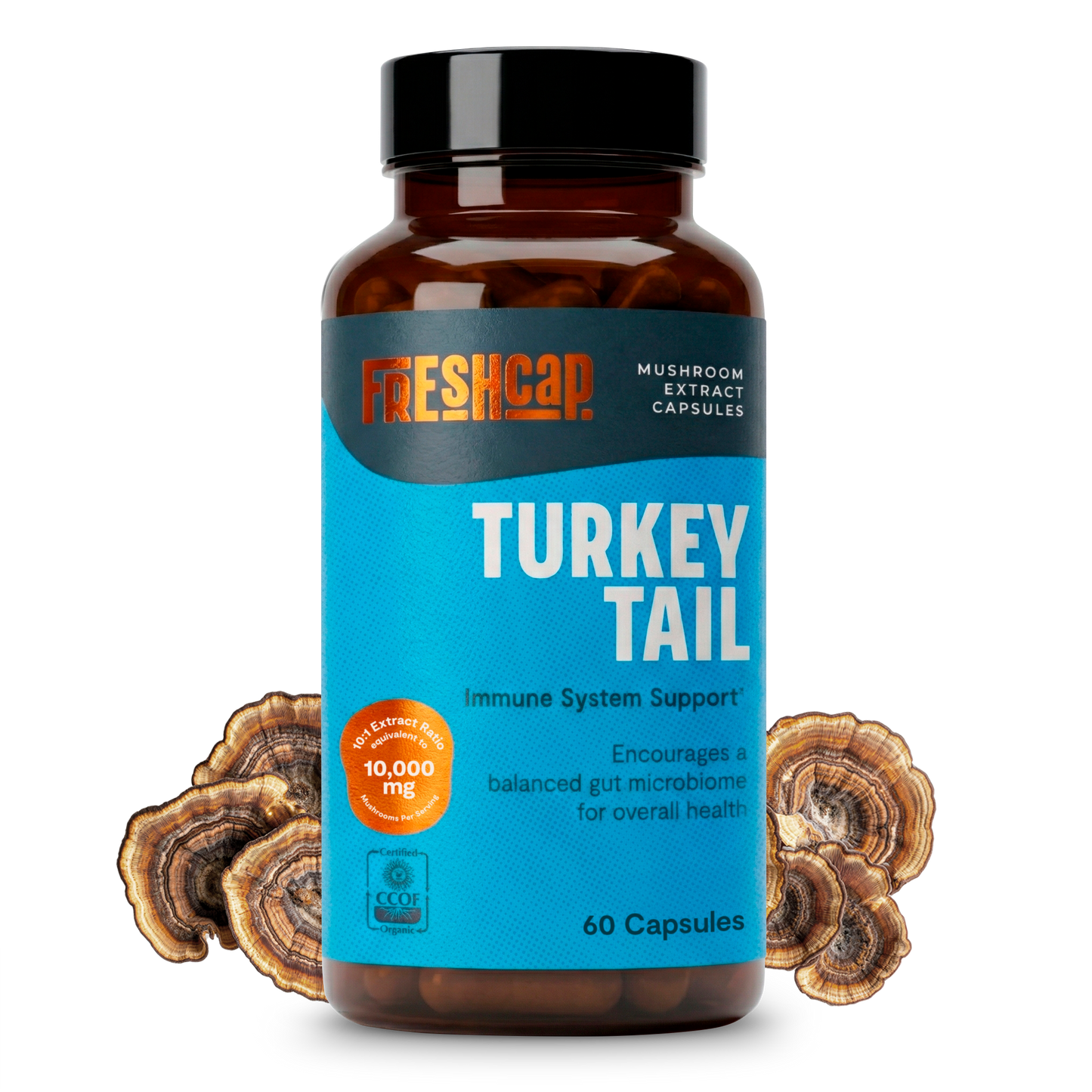 Turkey Tail Mushroom Extract Capsules - Triathlete Store