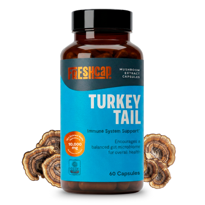 Turkey Tail Mushroom Extract Capsules - Triathlete Store