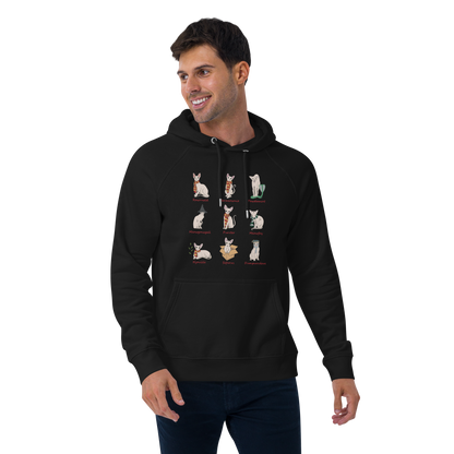 "HARRY POTTER SPHYNX" UNISEX HOODIE