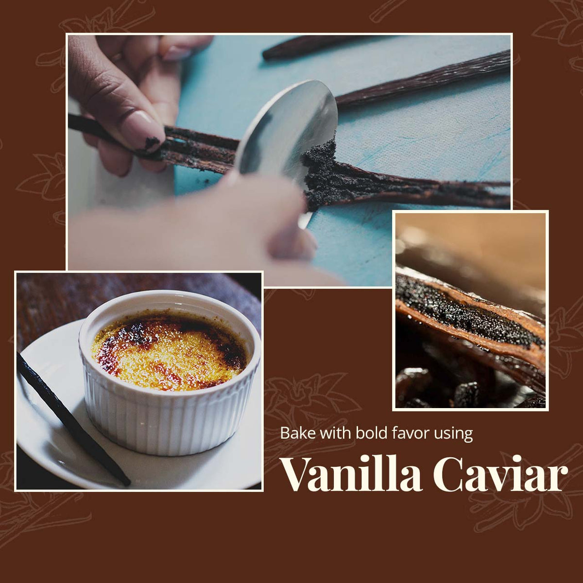 Grade A Vanilla Beans – Whole Vanilla Pods for Baking & Extract