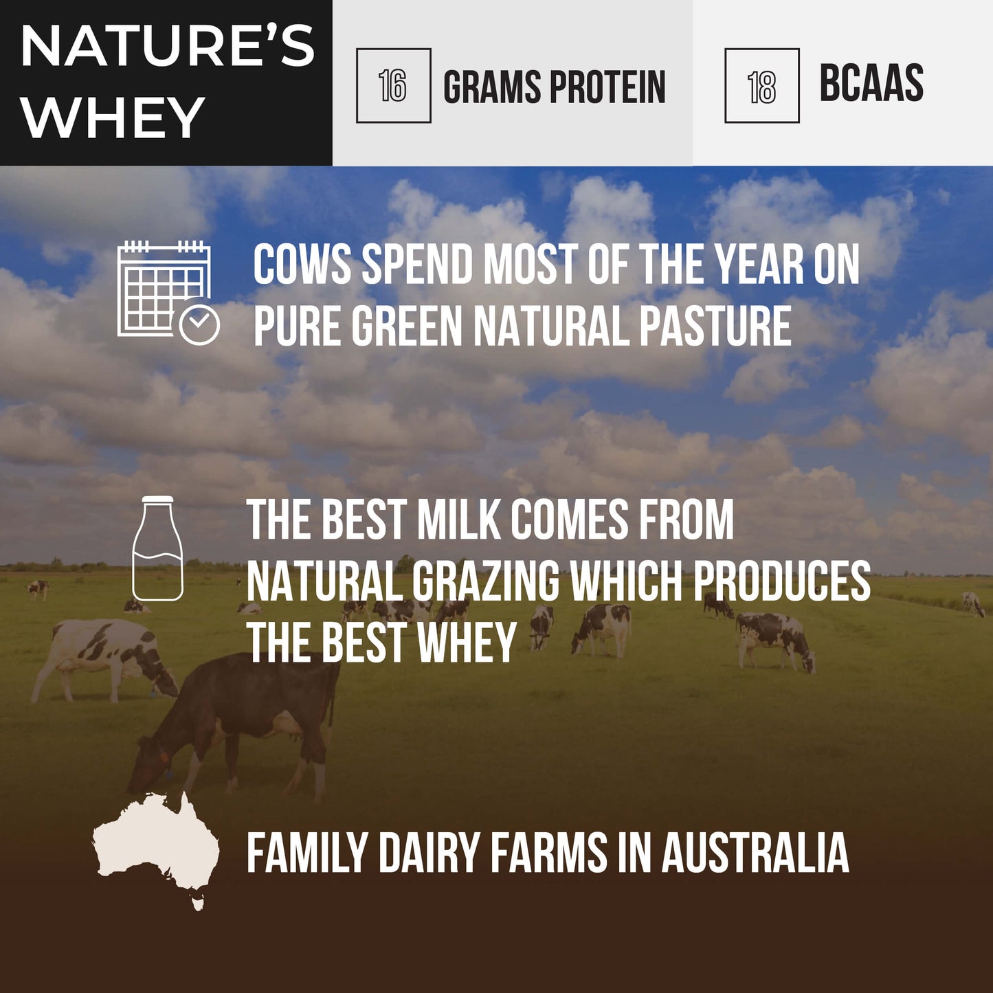 Wholesale case of 6 - Wild Grass-Fed Whey Protein