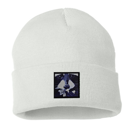 Raccoon Pop Beanie