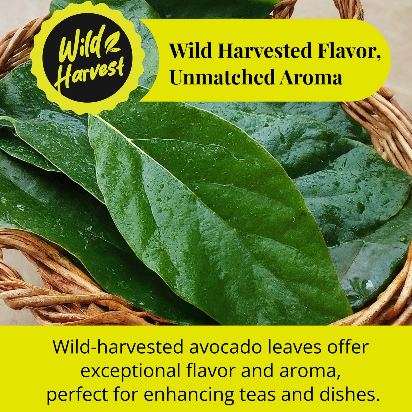 Dried Avocado Leaves, (Hojas De Aguacate) - 2.6oz (75gm). Makes 28 cups