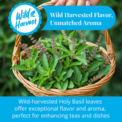Akshit Holy Basil Leaves, Naturally Dried Leaves, 100% Pure Holy Basil (Tulsi) Tea , No Caffeine, No Additives, Vegan - 2.6oz