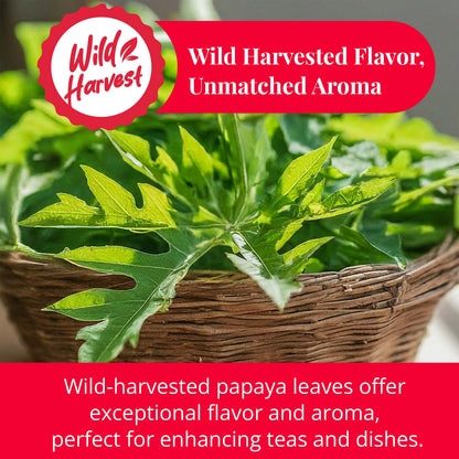 Akshit Papaya Leaves, Hojas de papaya, 2.6oz, Dried Papaya Leaf, Herbal Tea, Non GMO, Caffeine free, Sugar free, Rich In Vitamins.