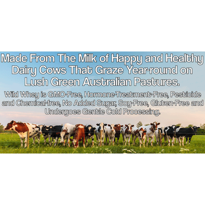 Wholesale case of 6 - Wild Grass-Fed Whey Protein