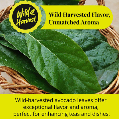 Akshit Premium Dried Avocado Leaves, Hojas De Aguacate - 2.6 oz