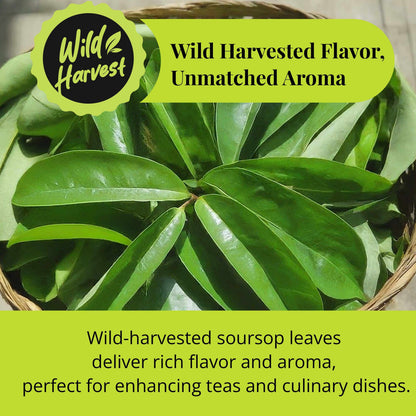 200+ Whole Dried Soursop Leaves – 2.6 oz , 100% Natural Soursop Tea (Graviola Leaves), Caffeine-Free Herbal Tea (Hoja Guanabana)