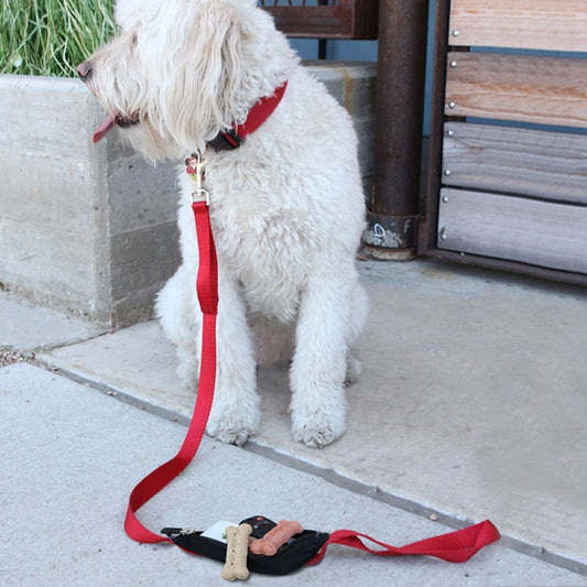 SPIBelt SPILeash with Expandable 5" x 3" x 2" Pocket
