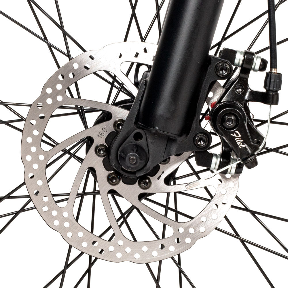 SAMEBIKE Adult SH26 Ebike Mountain Bike 36V 8AH 30km/h 70km 350W