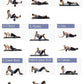 EPP Yoga Massage Roller & Fitness ball Foam Roller Set for Back Pain Self-Myofascial Treatment