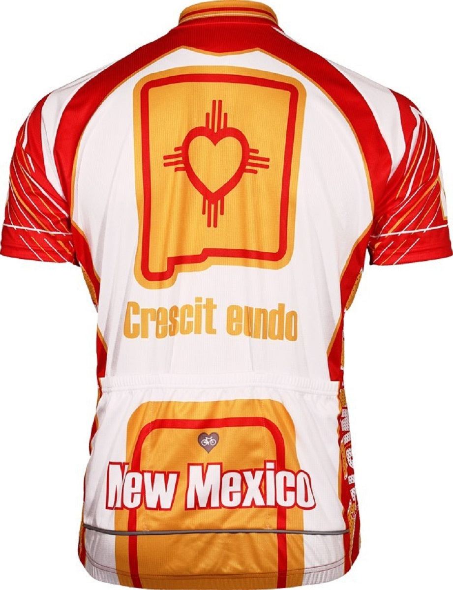 New Mexico Men's Cycling Jersey (Small)